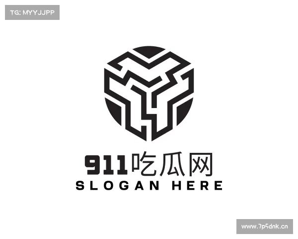 解读911吃瓜社区